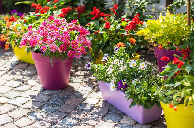 Décoration d’intérieur